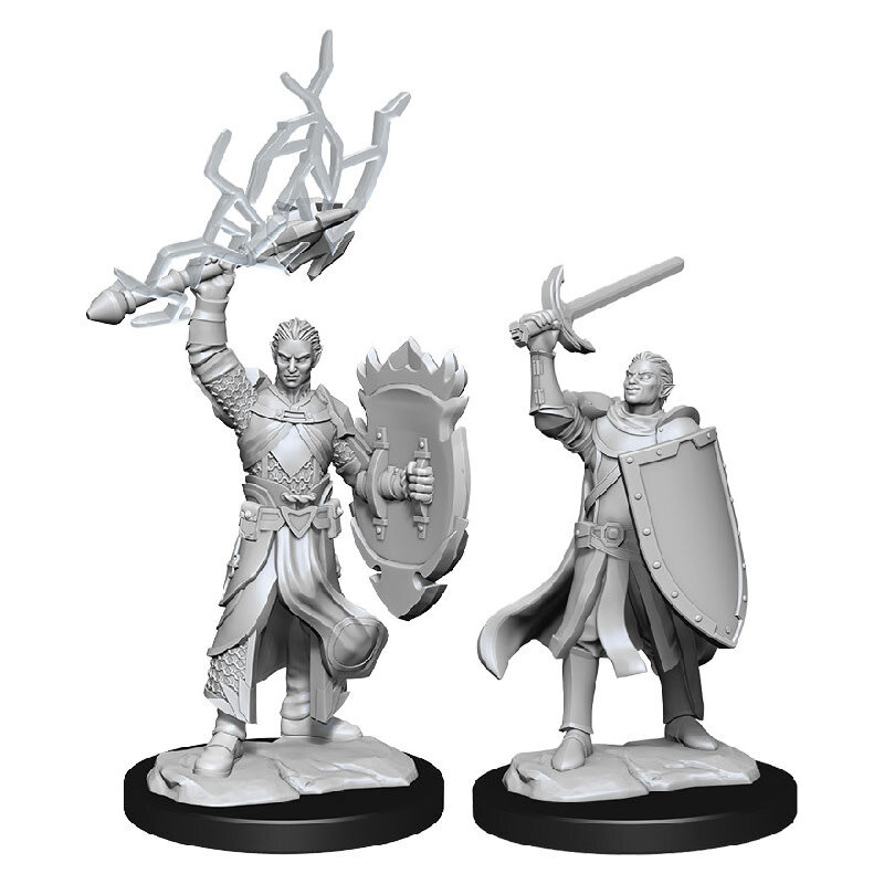 Wizkids D&D Unpainted Minis: Half-Elf Paladin Male