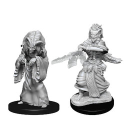 Wizkids D&D Unpainted Minis: Night Hag and Dusk Hag