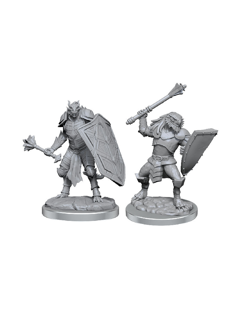 D&D Unpainted Miniatures: Dragonborn Female Paladin main image 0