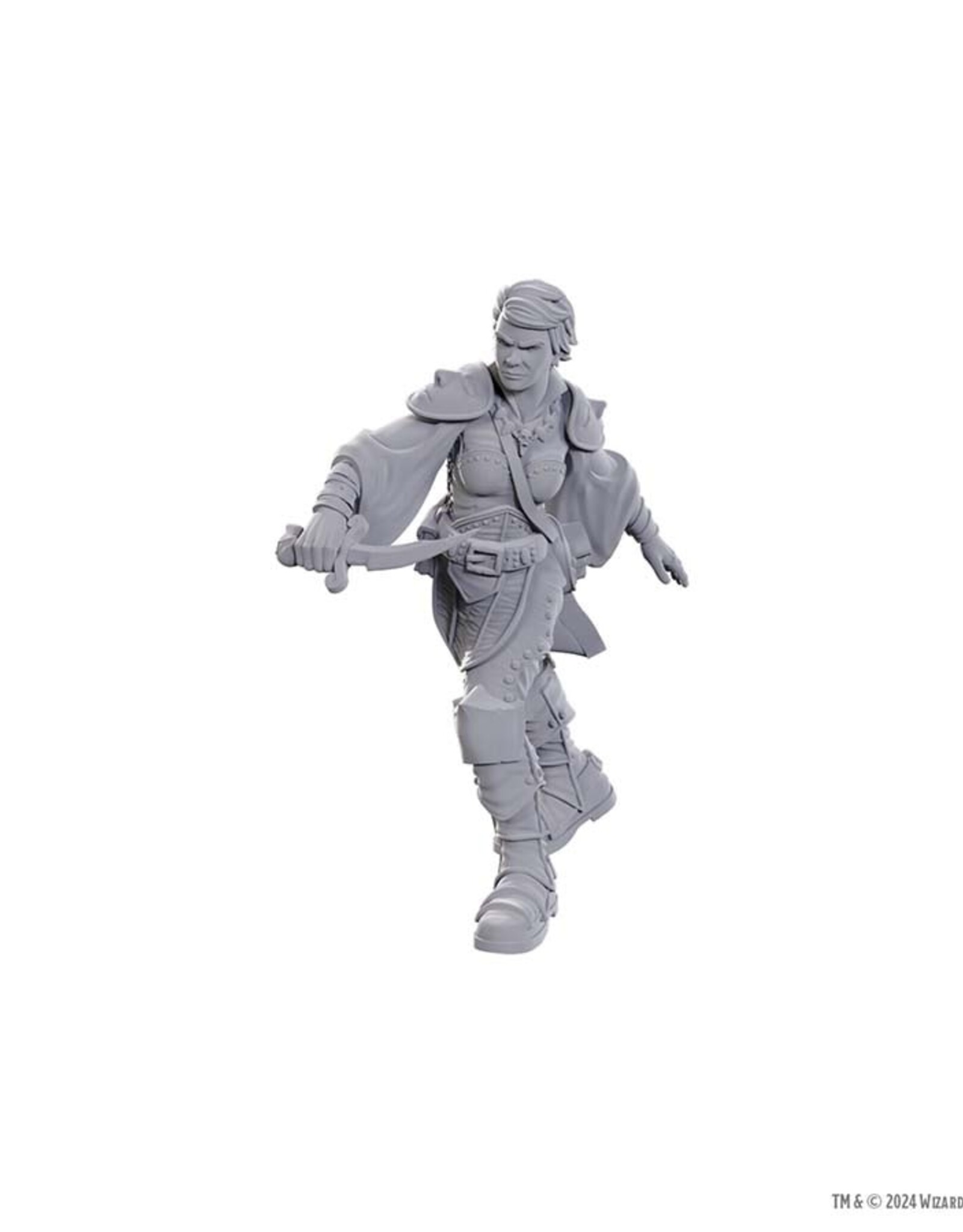 Wizkids D&D Unpainted Minis: Swashbuckler