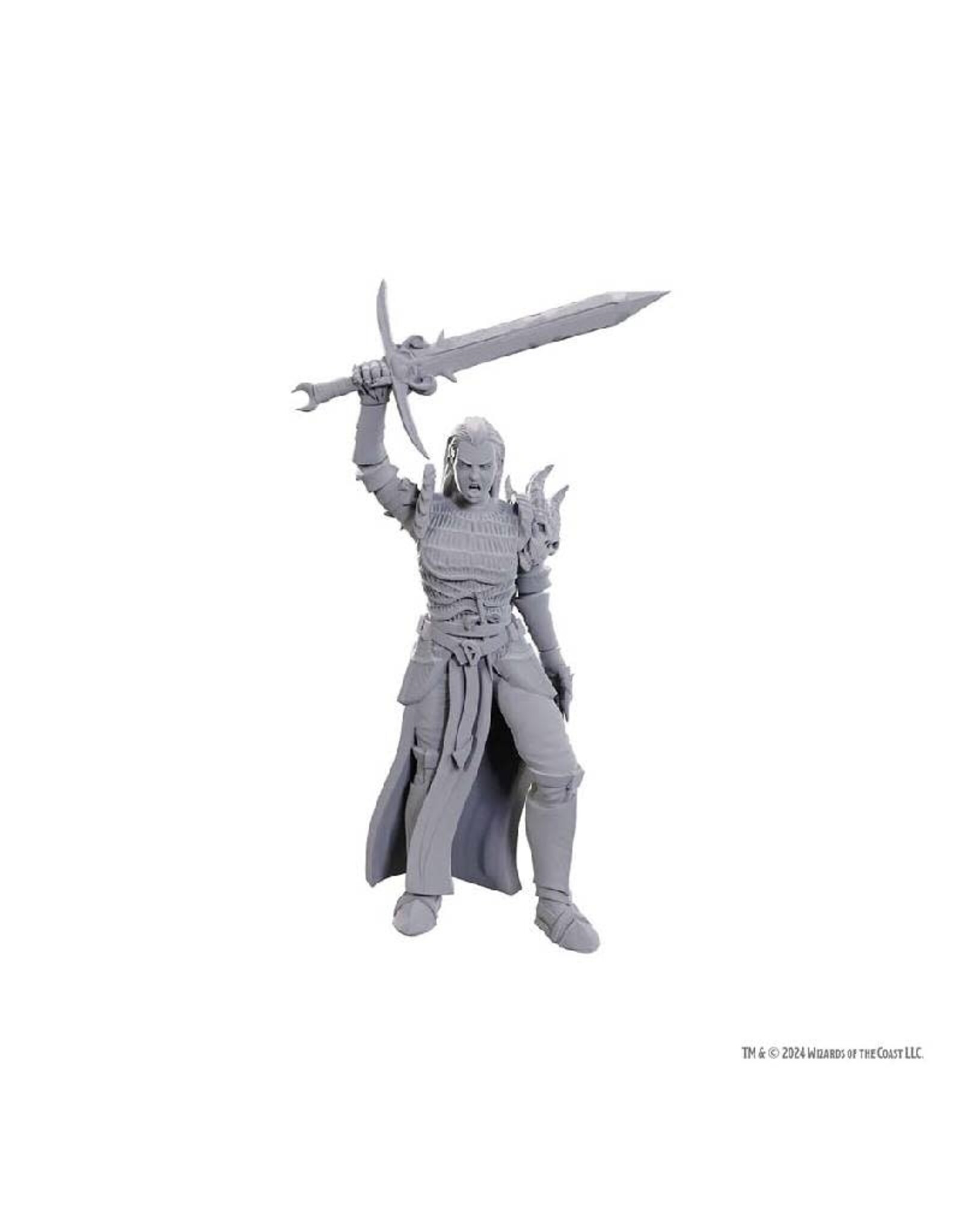 Wizkids D&D Unpainted Minis: Blackguard