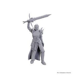 Wizkids D&D Unpainted Minis: Blackguard