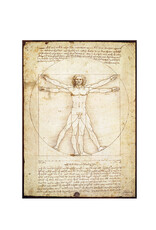 Eurographics The Vitruvian Man Puzzle -  Da Vinci (1000 PCS)