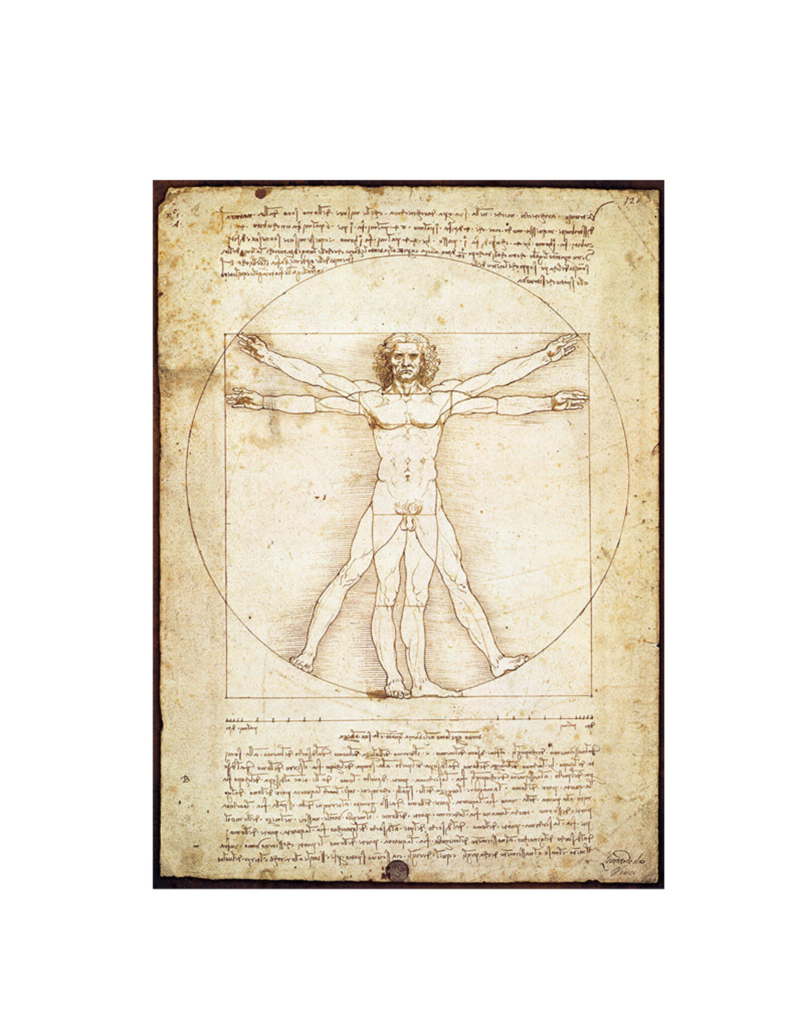 Eurographics The Vitruvian Man Puzzle -  Da Vinci (1000 PCS)