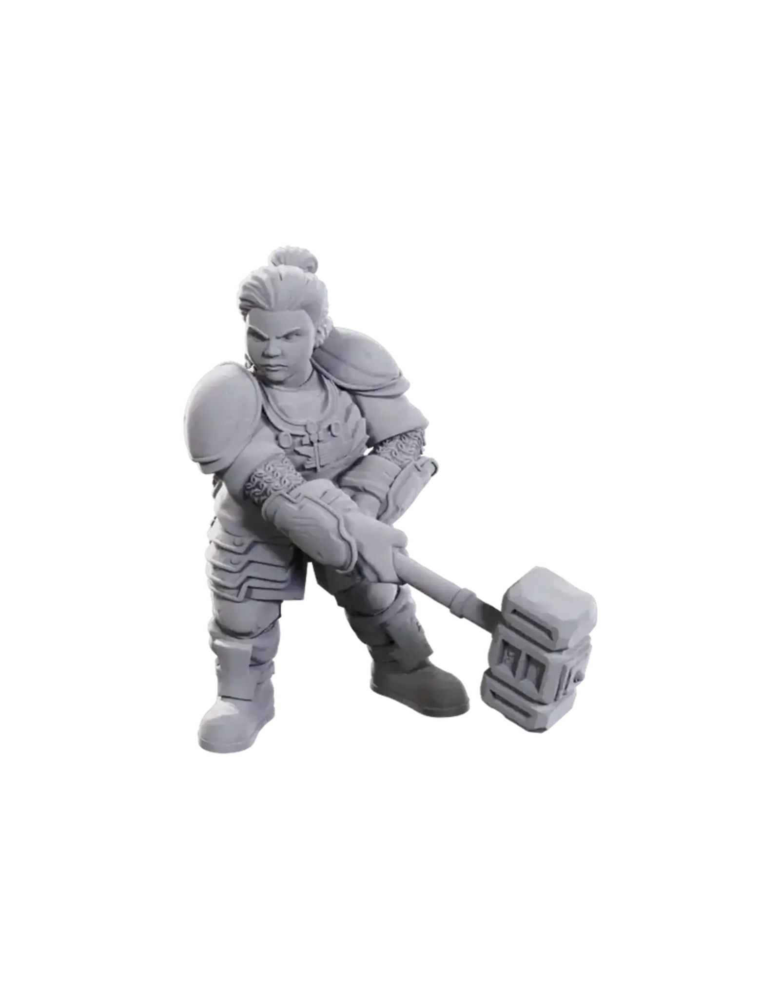 Wizkids D&D Unpainted Minis: Limited Edition Dwarves