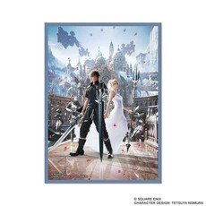 Misc Sleeves: Final Fantasy Noctis