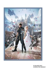 Misc Sleeves: Final Fantasy Noctis