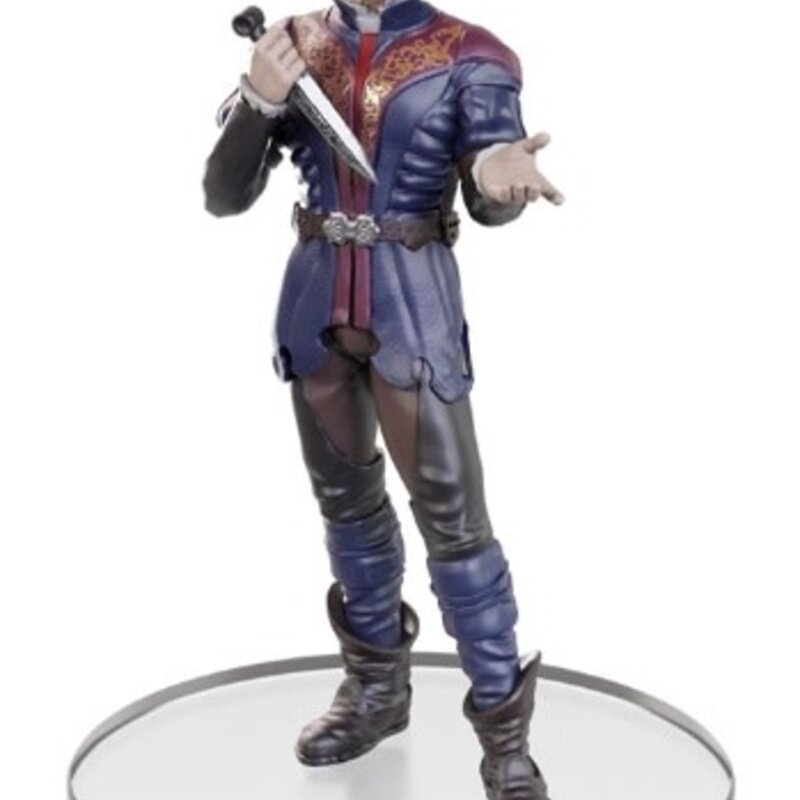 Wizkids D&D Minis Baldur's Gate 3 Character Boxed Set
