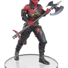 Wizkids D&D Minis Baldur's Gate 3 Character Boxed Set