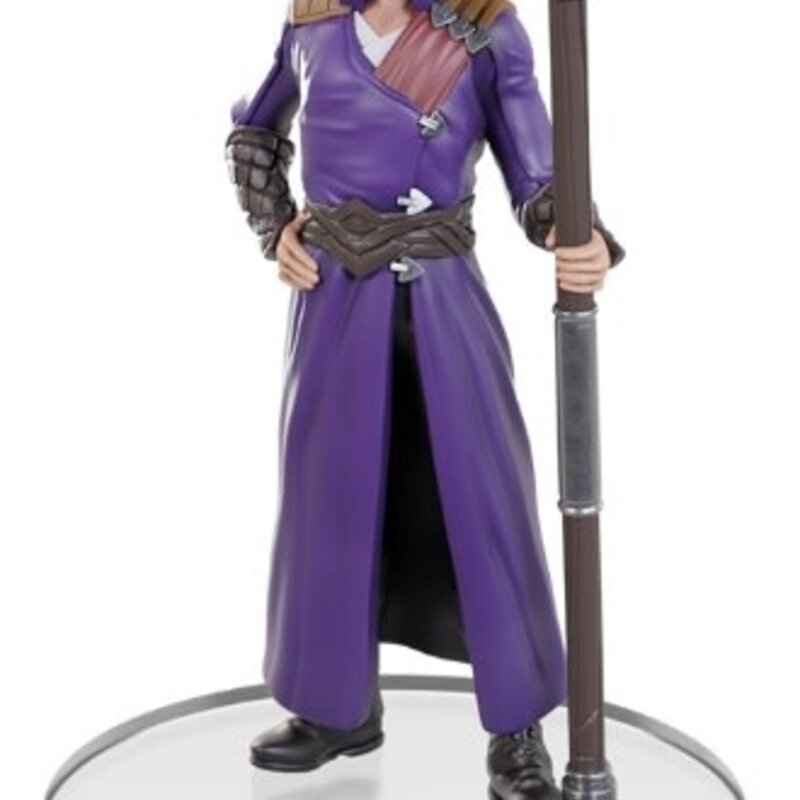 Wizkids D&D Minis Baldur's Gate 3 Character Boxed Set