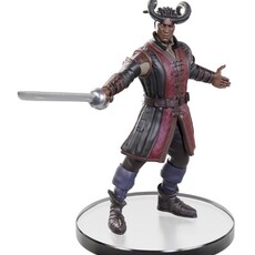 Wizkids D&D Minis Baldur's Gate 3 Character Boxed Set