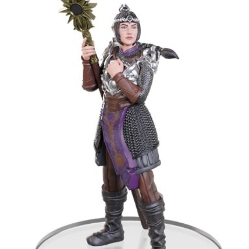 Wizkids D&D Minis Baldur's Gate 3 Character Boxed Set