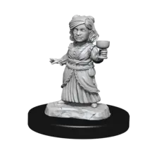 Wizkids D&D Unpainted Minis: Silver Dragon Wyrmling