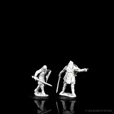 Wizkids D&D Unpainted Minis: Human Fighter Male