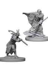Wizkids D&D Unpainted Minis: Goliath Fighter Male