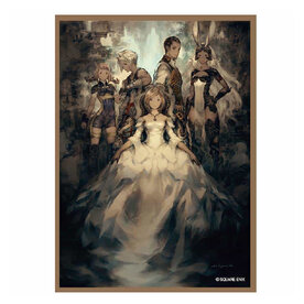 Misc Sleeves: Final Fantasy (100) FFXII TZA
