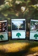 Wizards of the Coast MTG Land Station (400 Basic Lands)