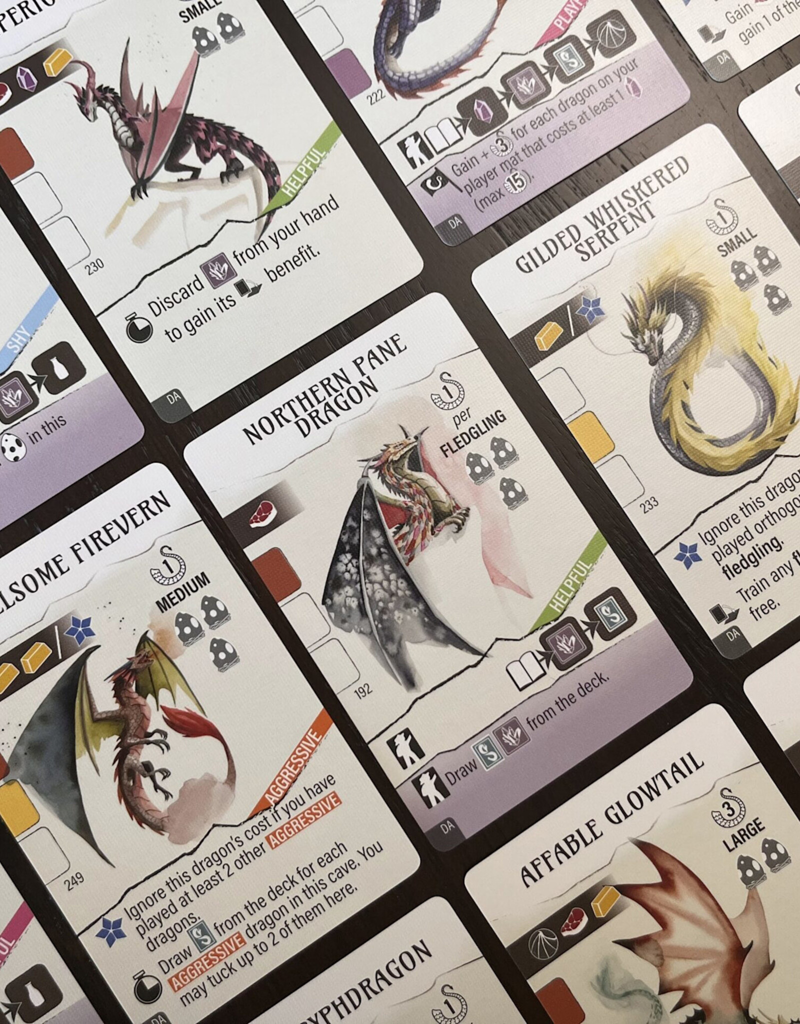 Stonemaier Games Wyrmspan Dragon Academy