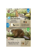 Forest Shuffle Dartmoor