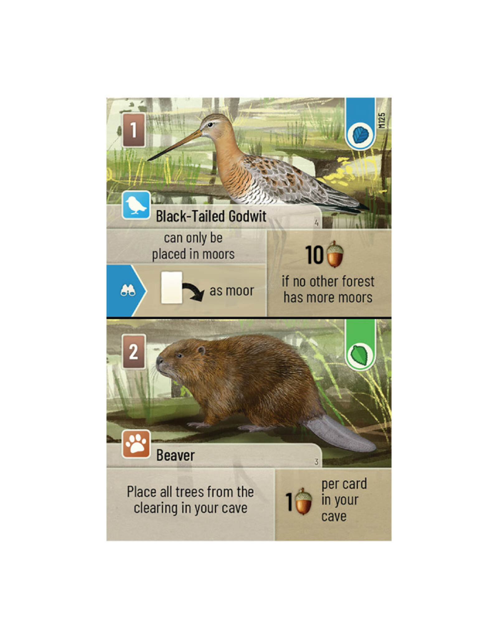 Forest Shuffle Dartmoor