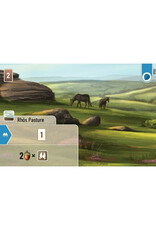 Forest Shuffle Dartmoor