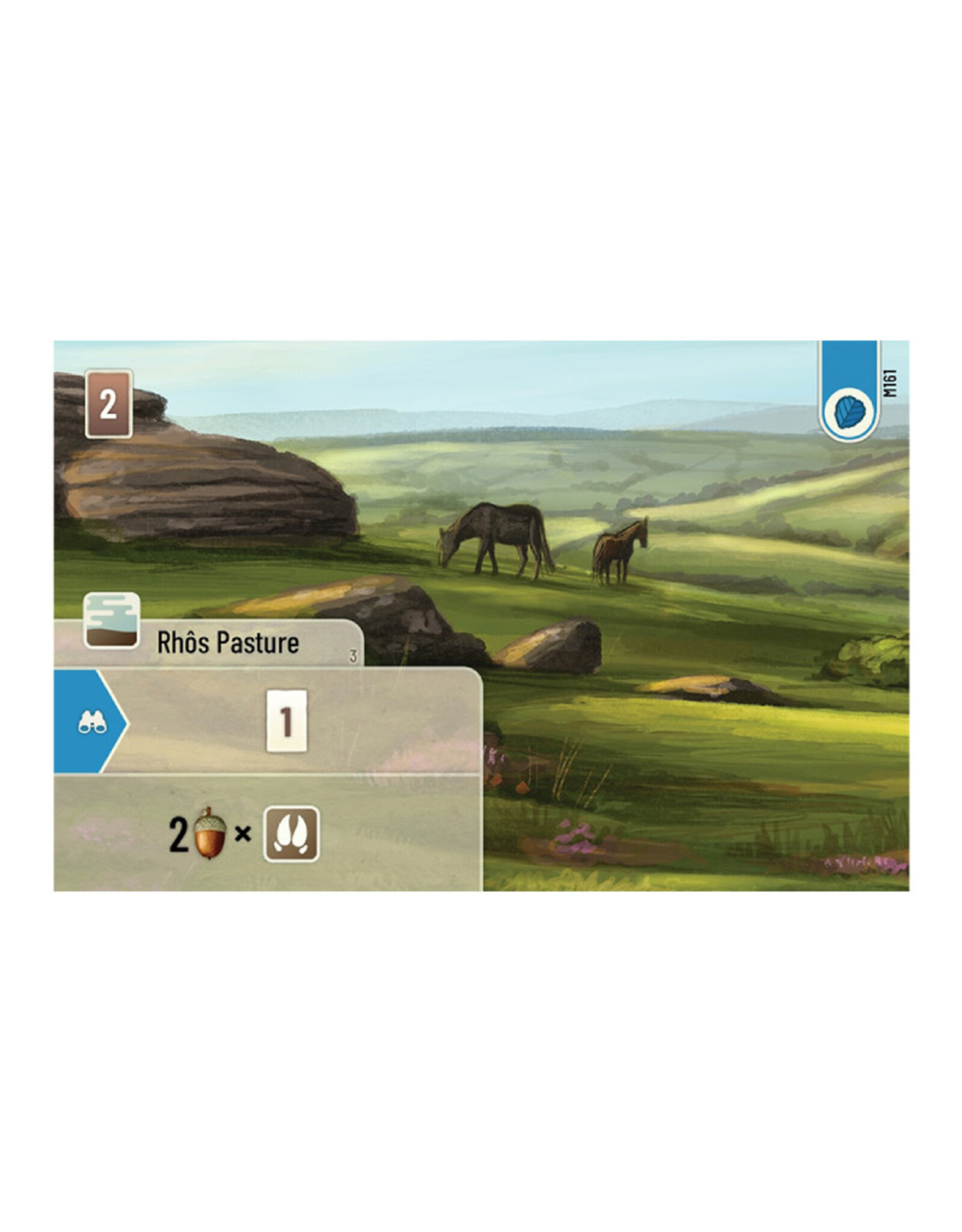 Forest Shuffle Dartmoor