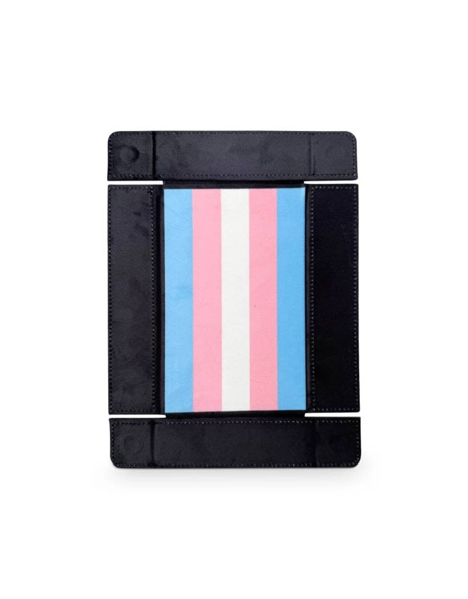 Norse Foundry Dice Tray: Pride Transgender