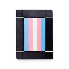 Norse Foundry Dice Tray: Pride Transgender