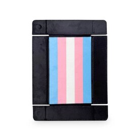 Norse Foundry Dice Tray: Pride Transgender