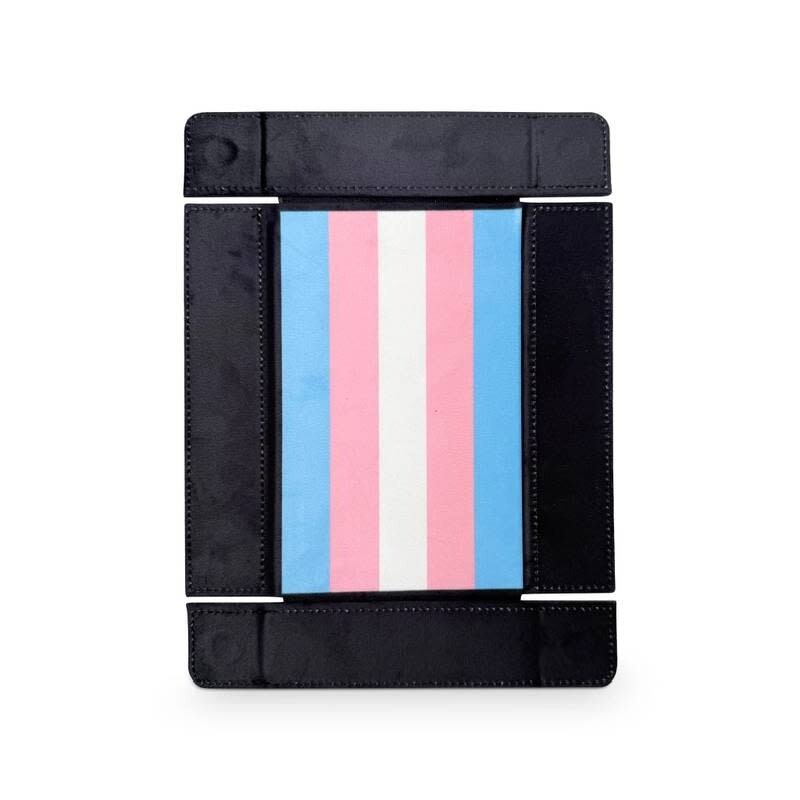 Norse Foundry Dice Tray: Pride Transgender