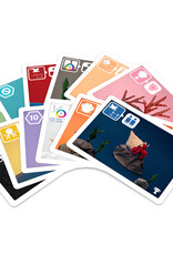 Pandasaurus Sea Salt and Paper Extra Pepper