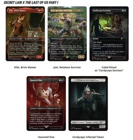 Wizards of the Coast MTG Secret Lair Drop: Last of Us Part One Chasing Hope (NONFOIL)
