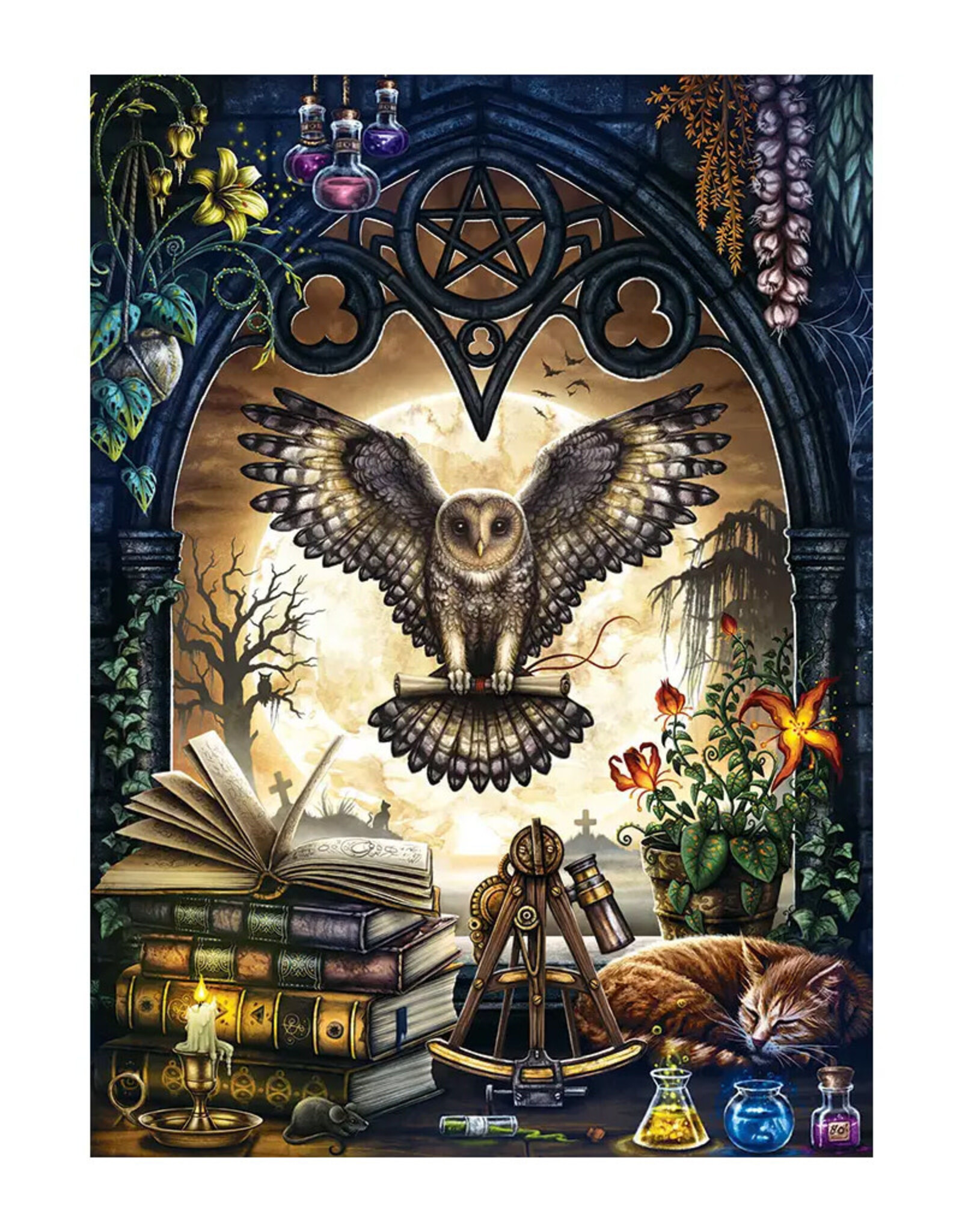 Cobble Hill The Summons by Sarah Richter Puzzle (1000 PCS)