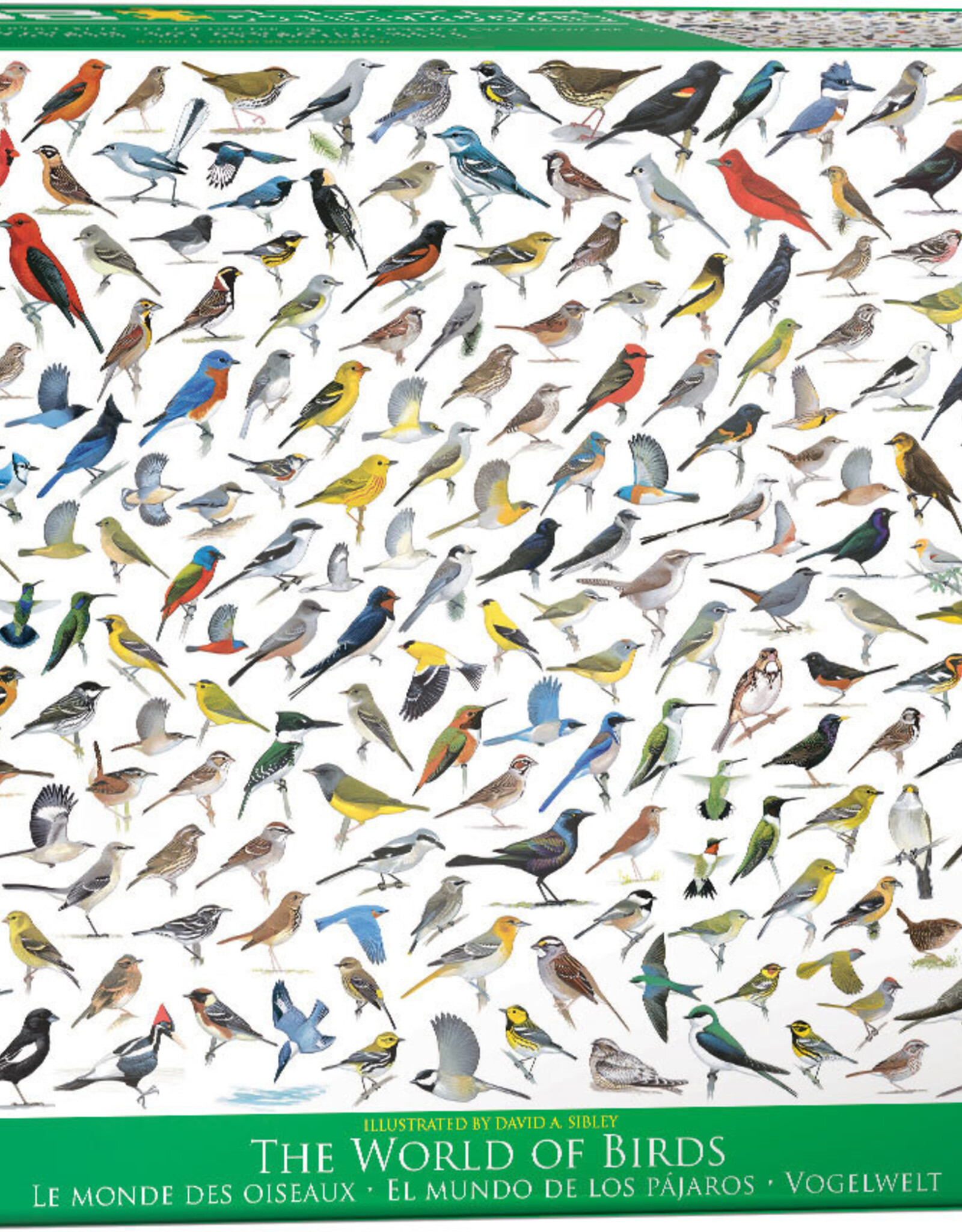 Eurographics The World of Birds Puzzle (2000 PCS)