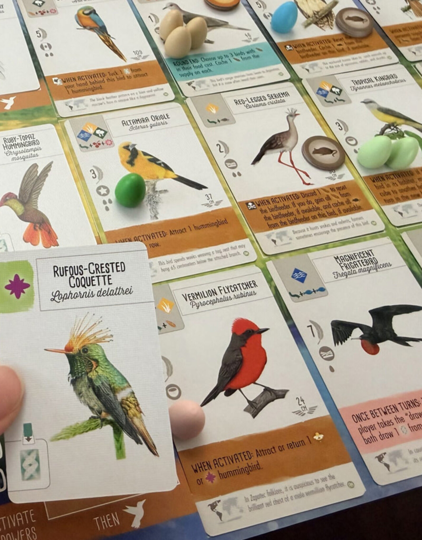 Stonemaier Games Wingspan Americas