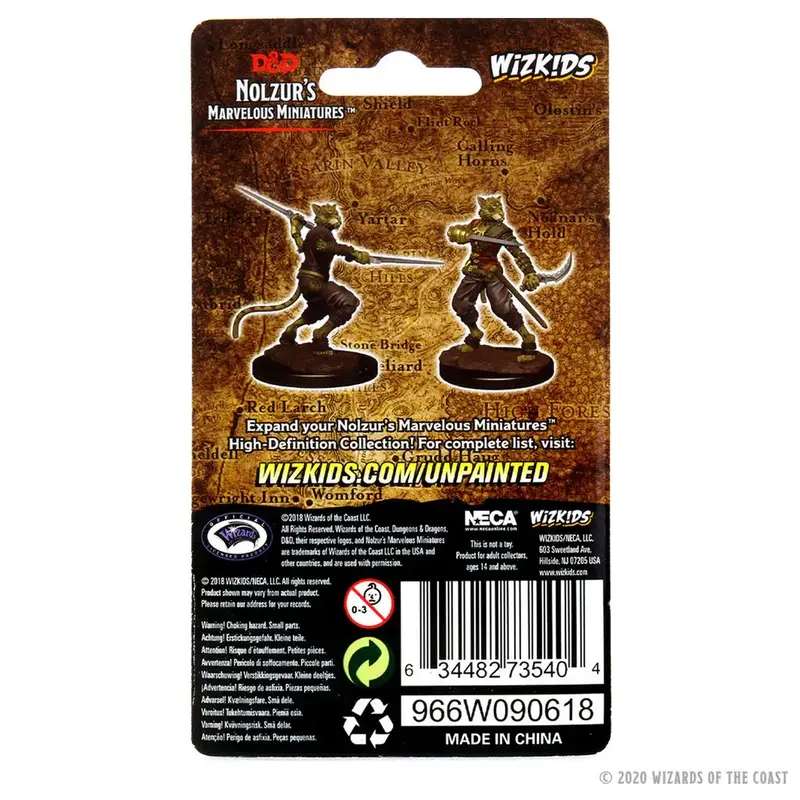 Wizkids D&D Unpainted Minis: Tabaxi Rogue Male