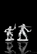 Wizkids D&D Unpainted Minis: Tabaxi Rogue Male