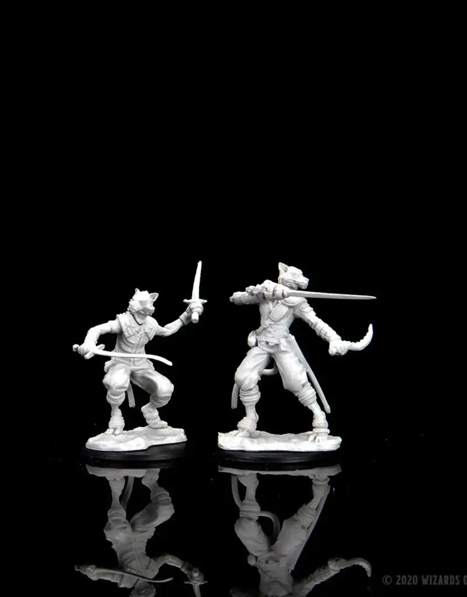 Wizkids D&D Unpainted Minis: Tabaxi Rogue Male
