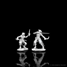 Wizkids D&D Unpainted Minis: Tabaxi Rogue Male