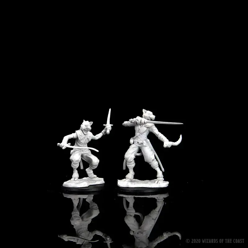 Wizkids D&D Unpainted Minis: Tabaxi Rogue Male