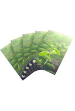 Forest Shuffle Premium Art Sleeves
