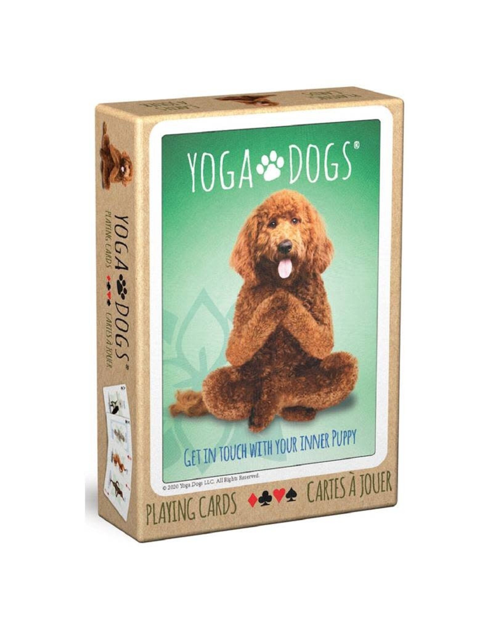 Eurographics Yoga Dogs Puzzle (1000 PCS)
