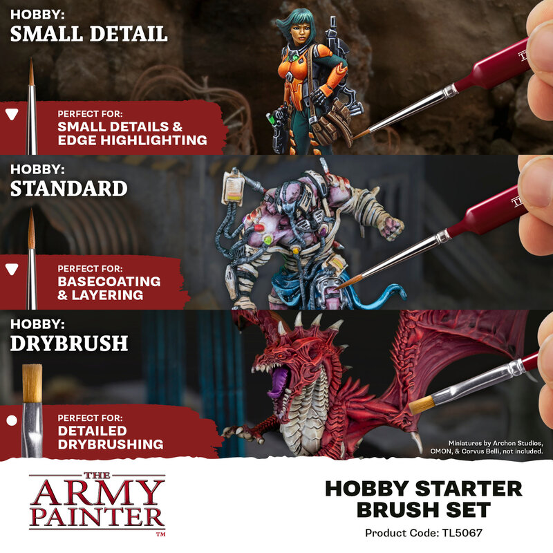 Tools: Hobby Starter Brush Set (5)