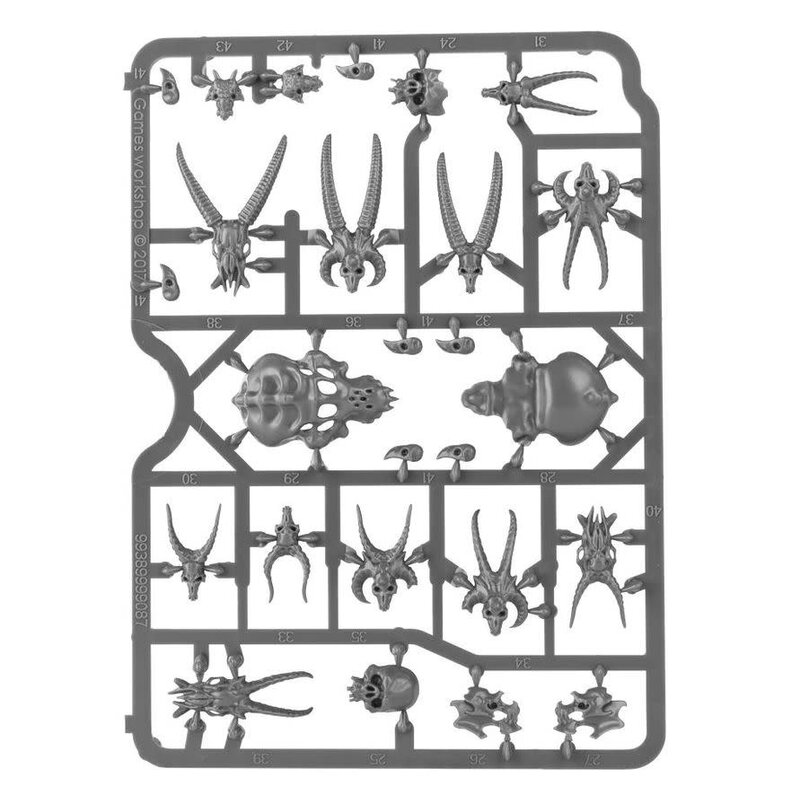 Citadel Citadel Skulls