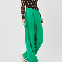 Theorilla Pant