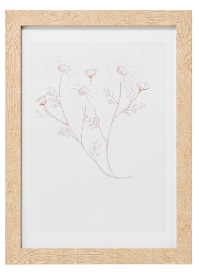 Floral Sketch Wall Art