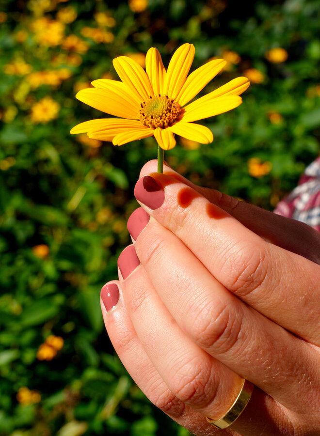 Nail Polish - Su'l Bord