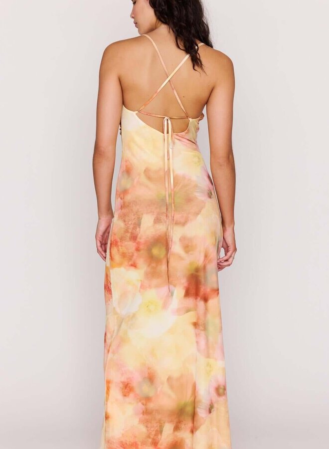 Aria Maxi Dress