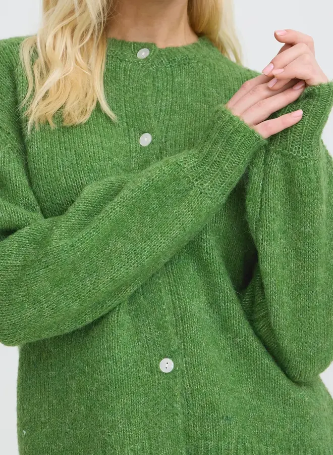 Otia Cardi