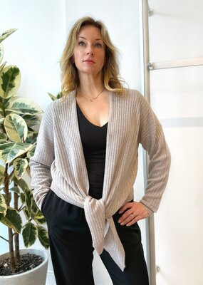 Autumn Cashmere Sandy Tie Front Rib Cardigan